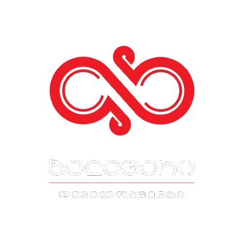 DRONIFY-ს პარტნიორი კომპანია 3 — სარეკლამო ვიდეო საქართველო